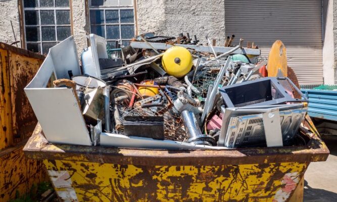 Collecting Scrap: Eco-Friendly Earnings