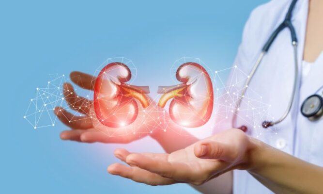 Organ Donation: A Last Resort